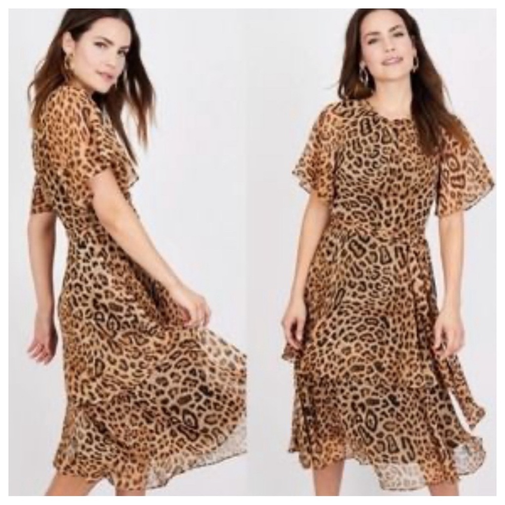 Leopard! Rachel Roy Collection Leopard Dress